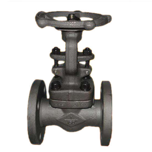 Cast Iron Globe Valves, Size: Standard