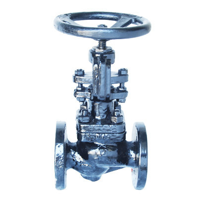 Audco Cast Steel Globe Steam Stop Valve ND-40, For Industrial