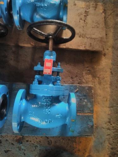 Flanged End CS Globe Valve, for Water