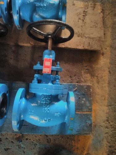 Cast steel Globe Valve