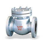 Check Valve