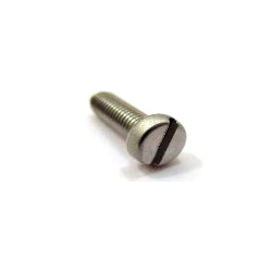 Stainless Steel Slotted Cheese Head Screws