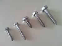 Coach Screw