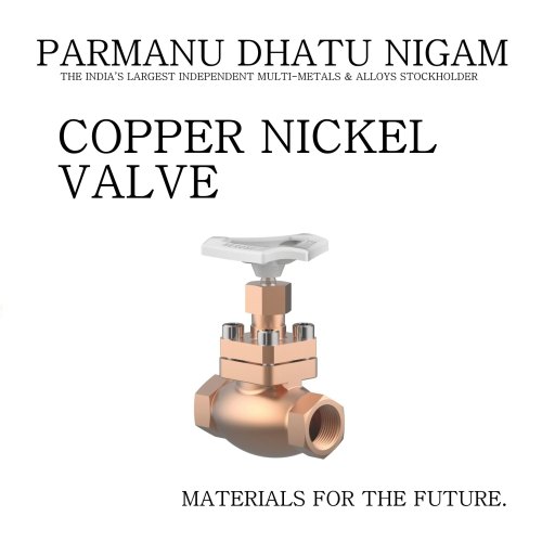 Copper Nickel Valve