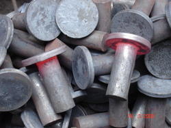 Stainless Steel Forgings