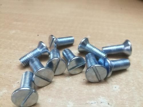 HE Stainless Steel Slotted Screw