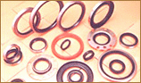 Axle Seals