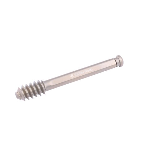 Stainless Steel Kazon DHS Leg Screw