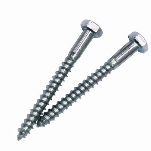 Polished Stainless Steel DIN 571 Hexagon Head Wood Screws, For Hardware Fitting, Packaging Type: Box