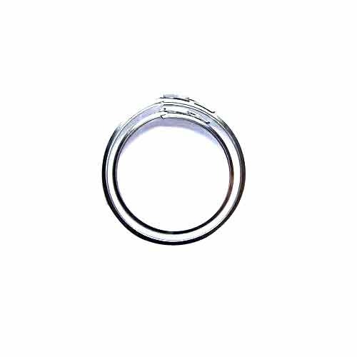 Stainless Steel Drum Locking Ring