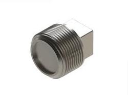 Duplex Steel Plug, For Plumbing Pipe