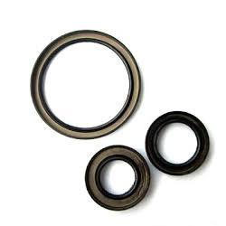 Engine Oil Seals