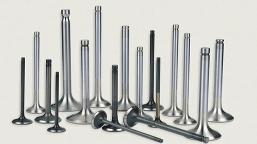 Standard Steel Engine Valve