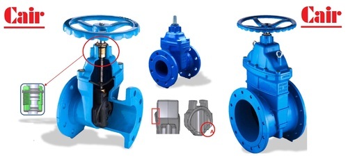Resilient Seated Gate Valve, Size: 50mm