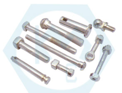 Eye, Square, Pin and Special Bolts