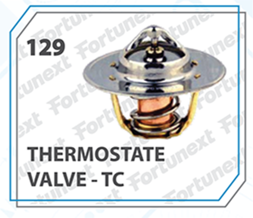 Fortunext Stainless Steel Thermostate Valve Tata, For Water
