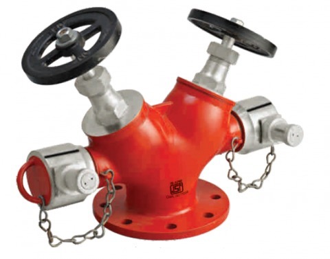 Fire Fighting Double Hydrant SS Valve, For Industrial