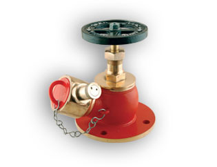 Stainless steel Fire Hydrant Valve, Size: 2.5 Inch