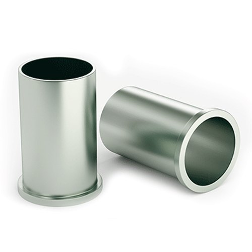 Stainless Steel Fitting Plug