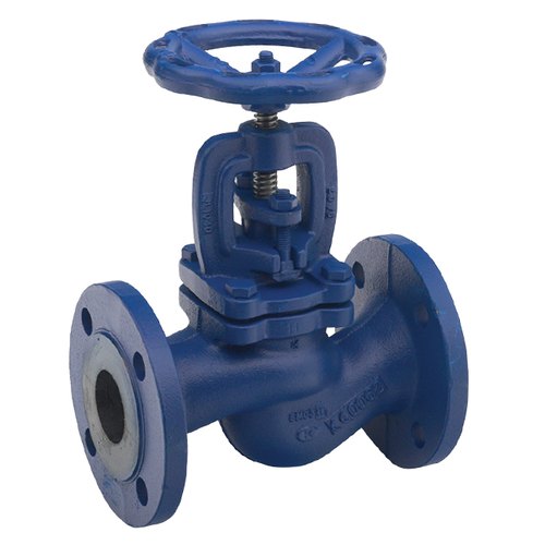 RANK Stainless Steel Flanged End Cast Iron Globe Valve, Size: 25mm To 200