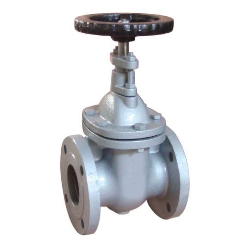 Regent Stainless Steel Flanged Gate Valve