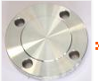 Stainless Steel Flanges