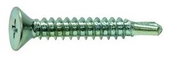 Flat Head Screw