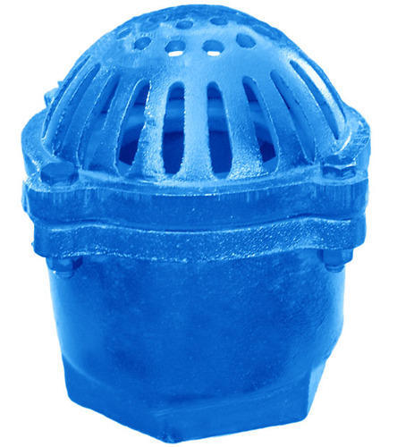 Cast Iron Foot Valve