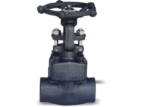 SQK Forged Steel Globe Valve, Size: 2 - 7.5