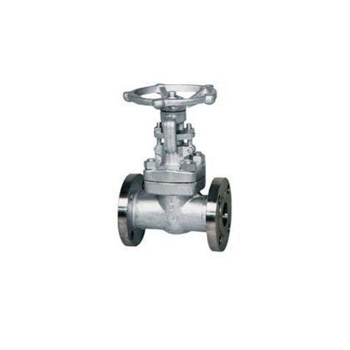 A105 Forged Steel Flanged End Valve