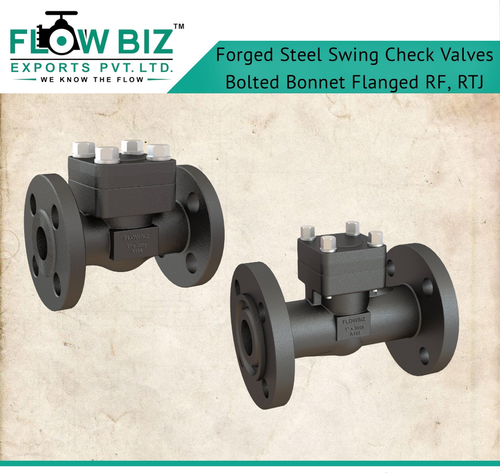 Flowbiz 150 Bar Forged Steel Swing Check Valves, Socket Weld, Valve Size: 15 mm To 50 mm