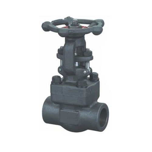 Novel Forged Steel Valve