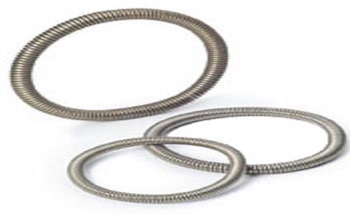 Stainless Steel Garter Spring