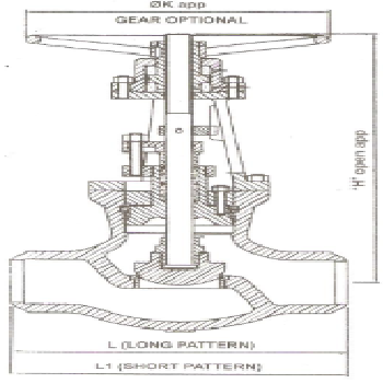 Stainless Steel Gate Valve