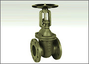 Sand Casting Gate Valve