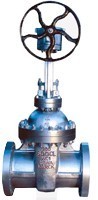 Gear Operated Valves