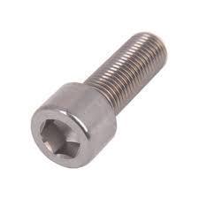 Chauhan Metal Hastelloy Socket Head Screw, Size: M6 To M42