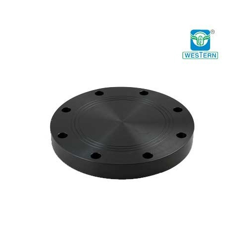 Polymold HDPE Blind Flange, Size: 20 Mm To 1000 Mm, Grade: PE100