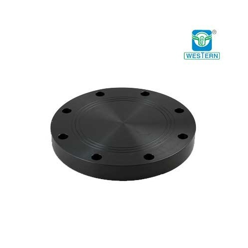 Black HDPE Blind Flange