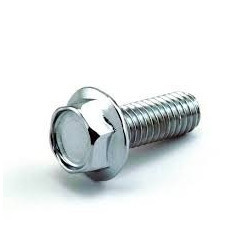 Hex Flange Bolts