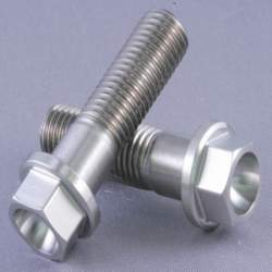 Hex Flange Screw