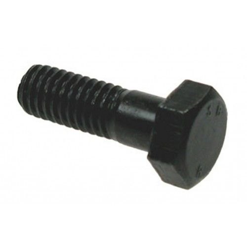 SS Hex Head Bolt, Size: M6-M64