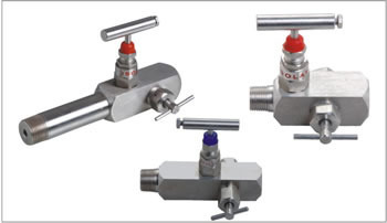 Multi - Port Gauge Valves