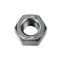 Hex Nut