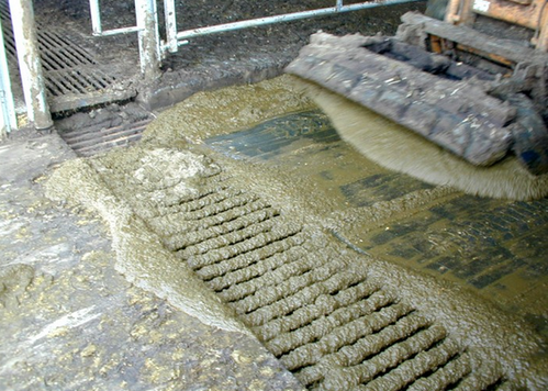 Automatic Horizontal Manure Augers