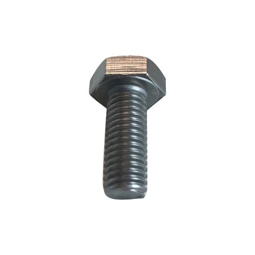 Ss Hot Forge Bolt, 10 Piece, Size: 8 - 20 Mm