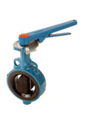 AUDCO Slimseal Butterfly Valves