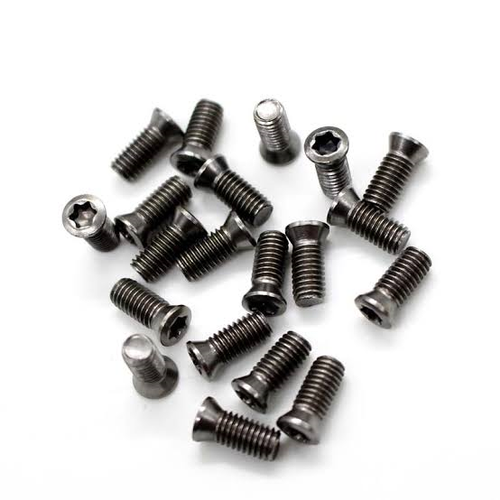 Polished Cnc Torx Screw