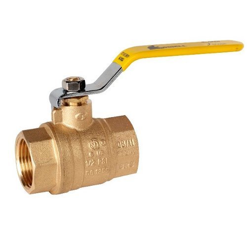 Brass Leader Boiler Valve