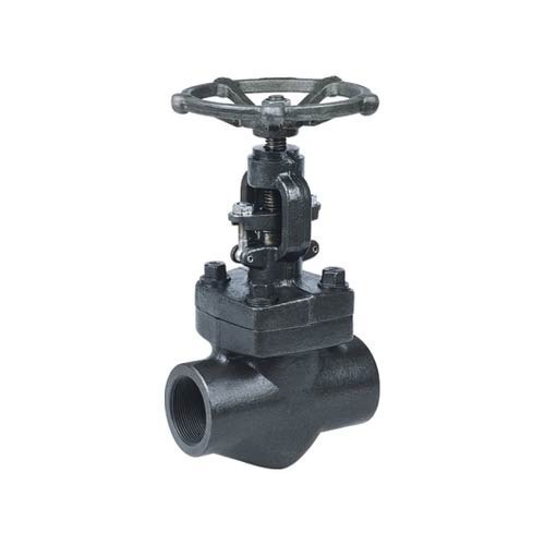 Flanged Leader Forged Steel Gate Globe Valves